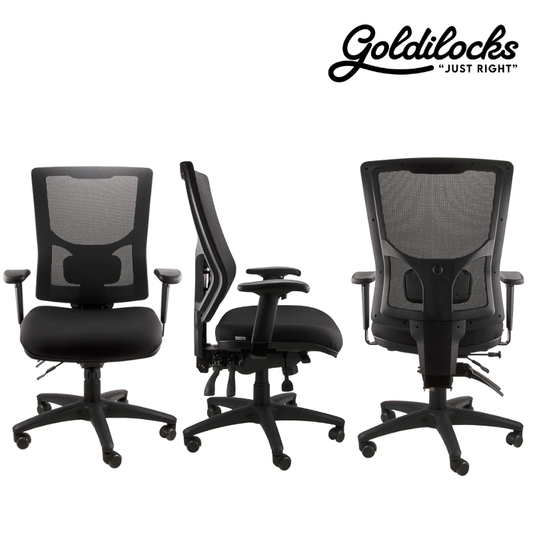 Goldilocks Grande Ergonomic Chair