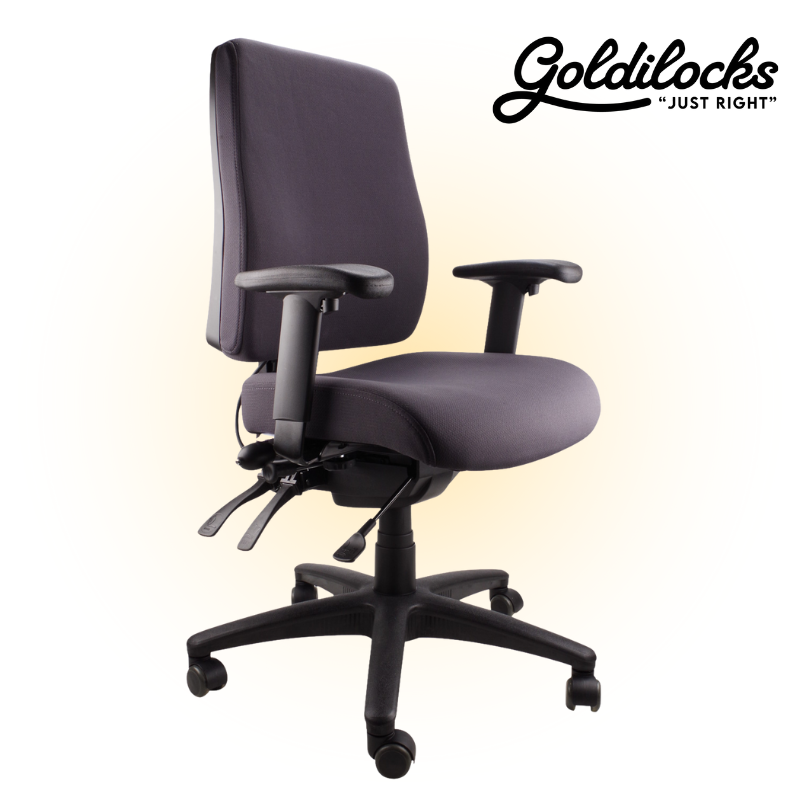 Goldilocks Ergonomic Chair