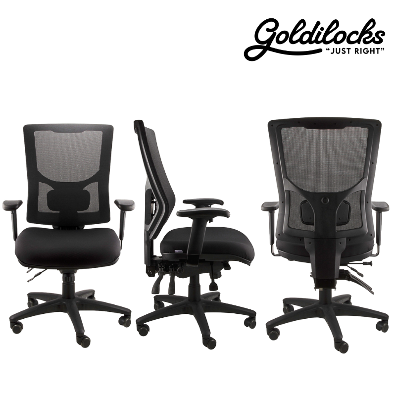 Goldilocks Grande Ergonomic Chair