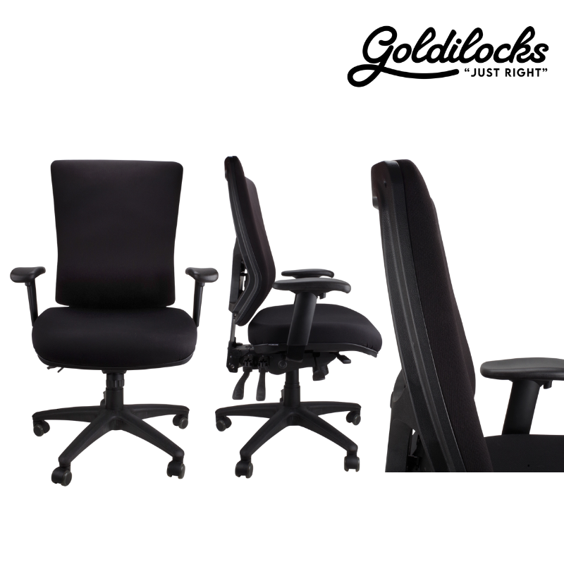 Goldilocks Grande Ergonomic Chair