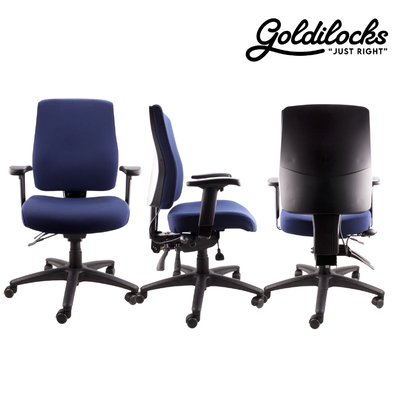 Goldilocks Ergonomic Chair