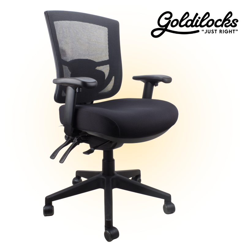 Goldilocks Ergonomic Chair