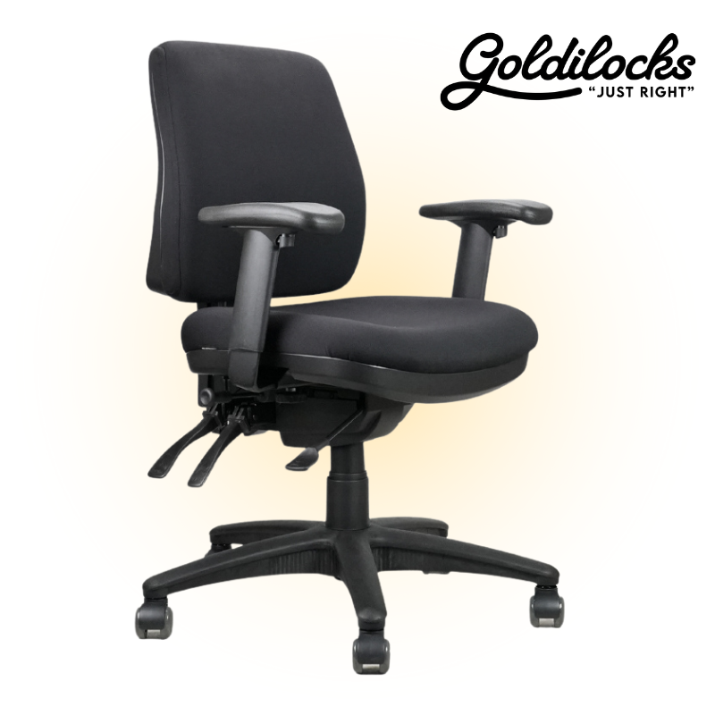 Goldilocks Petite Ergonomic Chair