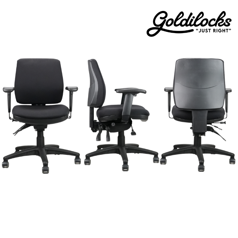 Goldilocks Petite Ergonomic Chair