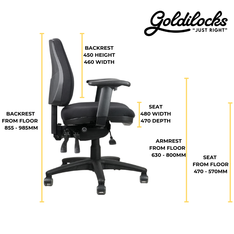Goldilocks Petite Ergonomic Chair